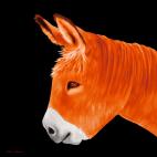 PTIT ANE ORANGE PTIT ANE LAVANDE donkey Showroom - Inkjet on plexi, limited editions, numbered and signed. Wildlife painting Art and decoration. Click to select an image, organise your own set, order from the painter on line